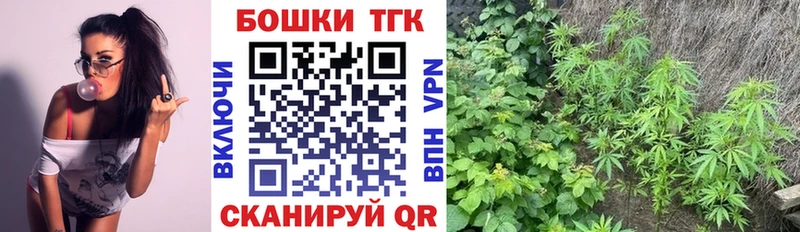 Купить закладки  Пыталово  Канабис семена 